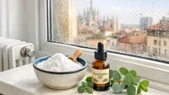 Condensa sui vetri in inverno: il trucco del bicarbonato sul davanzale