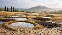 Come far crescere piante nel Sahara: la soluzione semplice delle demi-lunes